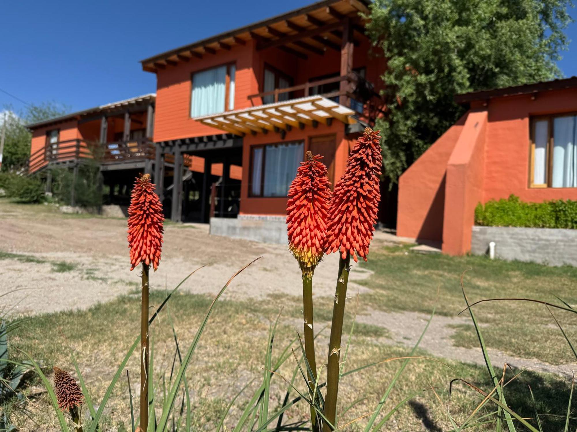 Cabaña El Churqui Tafí del Valle Exterior foto